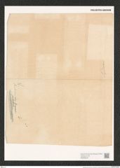 Diatomeae indet. (de-Toni-Nr.: Genus 603, 2134) Zeichnungen Sammlung Grunow (NHMW-BOT-W0368445)